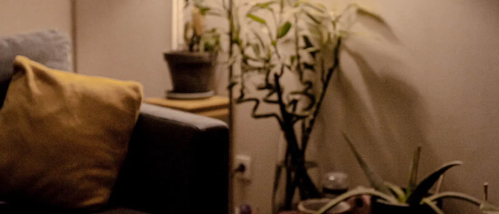 A warm living room in the evening, lit by a single lamp.