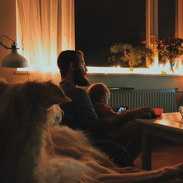A dim living room in the evening with a dog asleep on the rug.